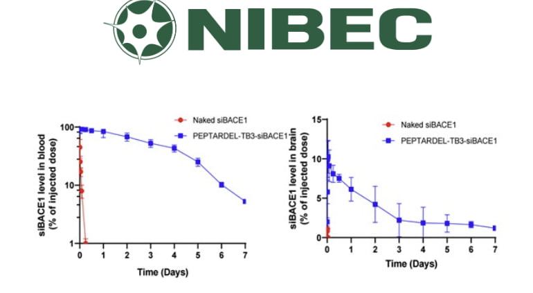 나이벡, siRNA 치료제 뇌 전달 전임상 성과 공개 ... 행동지표 개선까지 확인