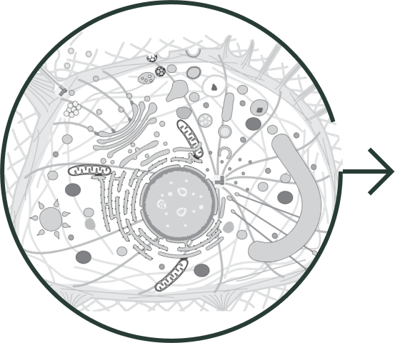 Target Disease Selection