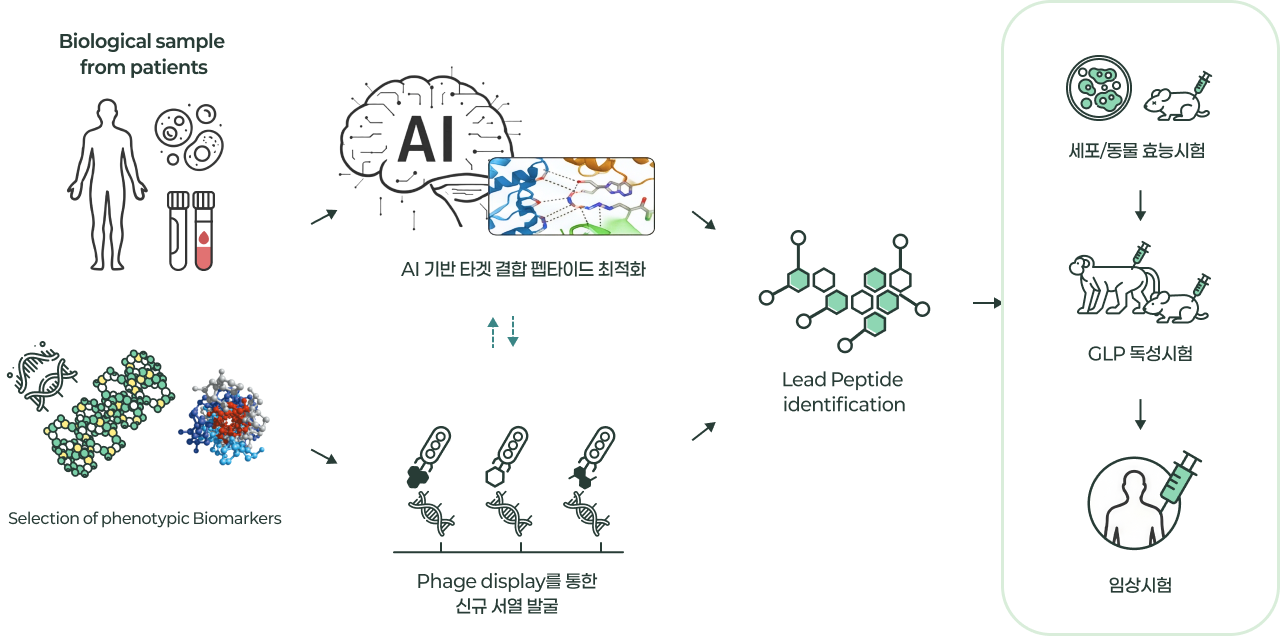 Pepscovery Process Diagram - Biological sample analysis, Big data analysis with Quantum Computing and Generative AI, Lead Peptide identification, Pharmacology and toxicity study, Clinical trials