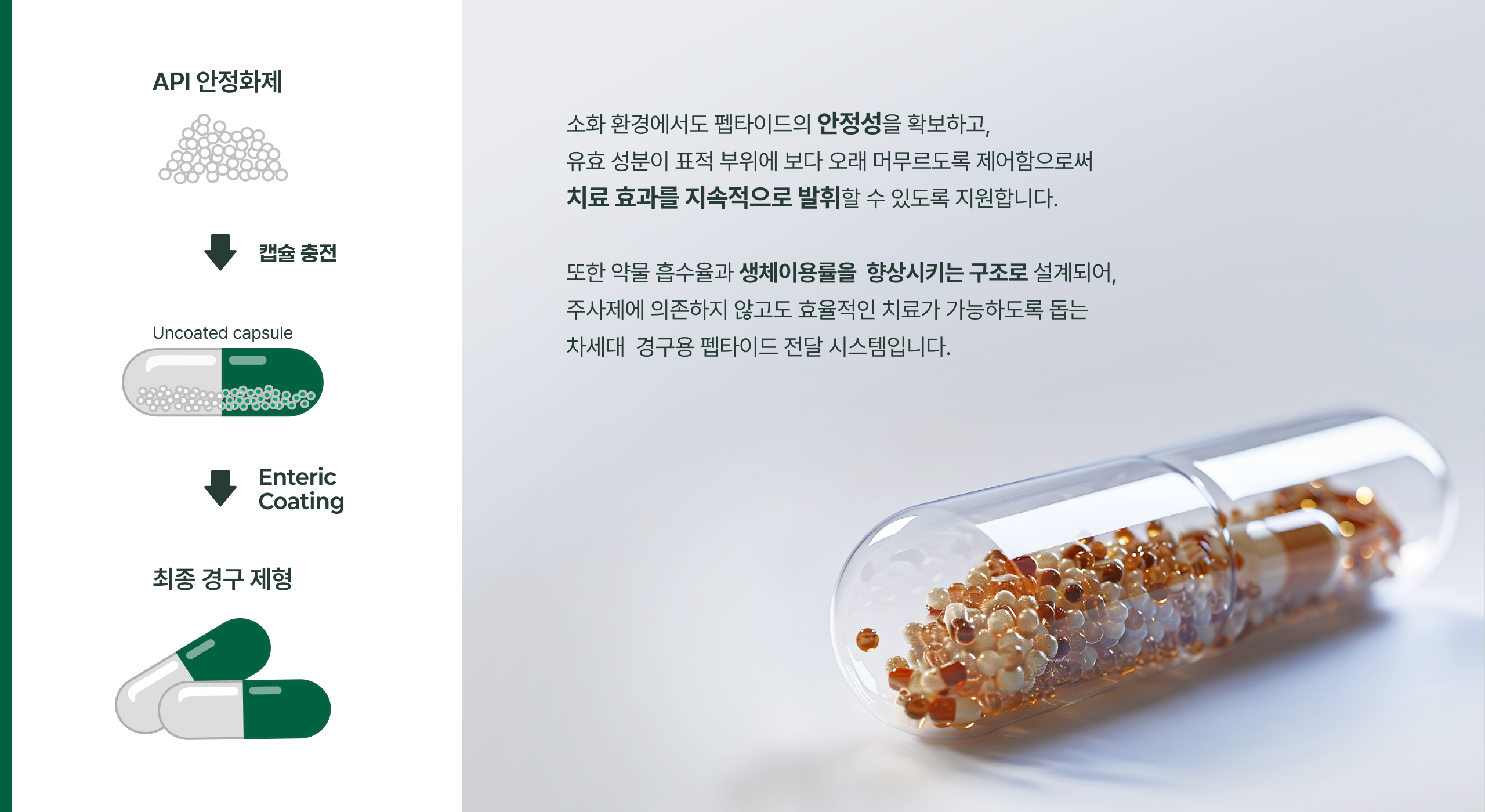 PEPTARDEL-O 대장표적용 경구제형 다이어그램